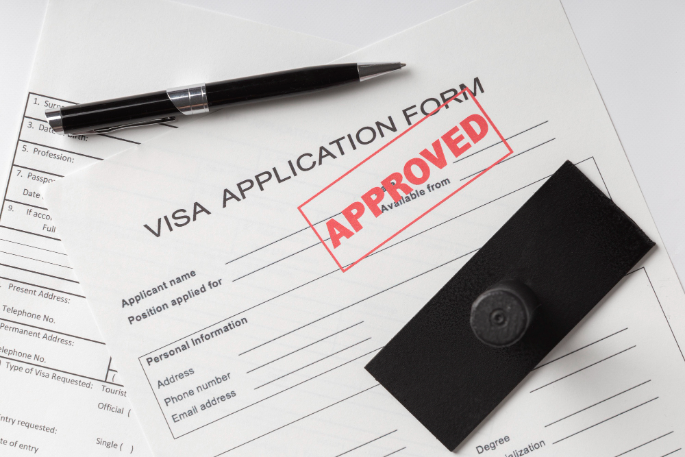 Visa Application